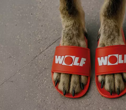 Wolfspfoten in Wolf Adiletten